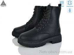 STILLI Group TM550-1 шкіра фото