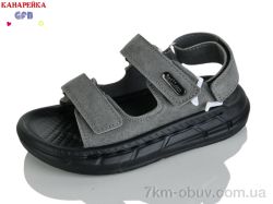 GFB-Канарейка S73-5 фото