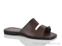 Loretta E741-5 фото