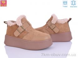 PLPS 6805-6 фото