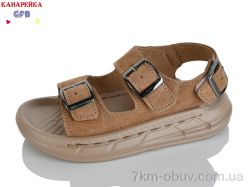 GFB-Канарейка S72-3 фото