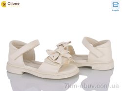 Clibee ZC173-3 фото