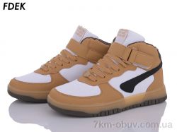 FDEK R9001-5 фото