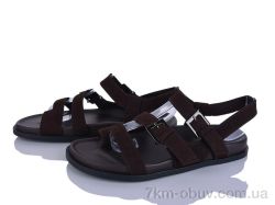 Loretta E748-2 фото