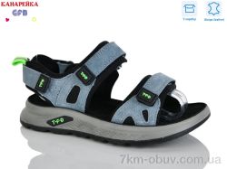GFB-Канарейка R826-5 фото