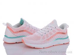 BIG L1550-4 фото