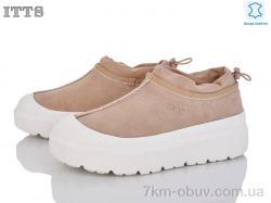 ITTS KT93-26 фото