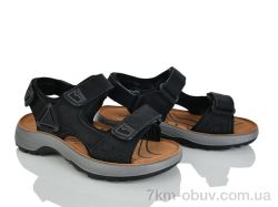 KIMBOO T66-3A фото