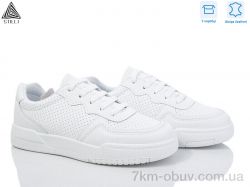 STILLI Group AD380 шкіра фото