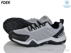 FDEK H9257-2 фото