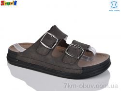 Sharif MS6005-6 фото