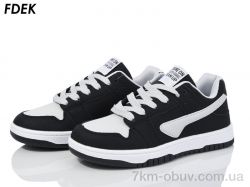 FDEK H9050-1 фото