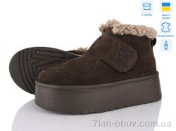 Stella Y15 коричневий з. фото