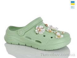 Крок 413 фісташка фото