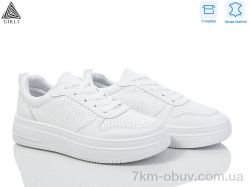 STILLI Group BB370 шкіра фото