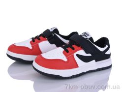 Мир 4313-J8601-10 фото