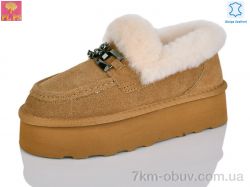 PLPS 5808 camel фото