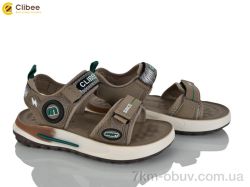 Clibee ZC2321-3 brown фото