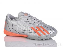 ASHIGULI C01-2 фото