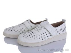 Lion-Lu 2024-16 фото