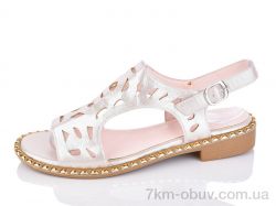 SANLIN 3-81C фото