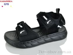 GFB-Канарейка R86-6 фото