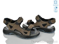 KIMBOO T69-4L фото