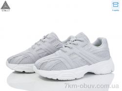 STILLI Group CX990-5 піна фото