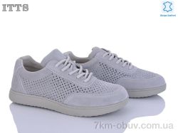 ITTS P03-3 фото