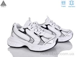 STILLI Group S200-5 шкіра фото