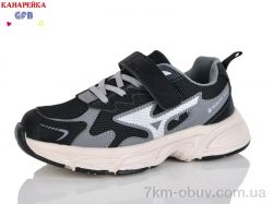 GFB-Канарейка R335-2 фото