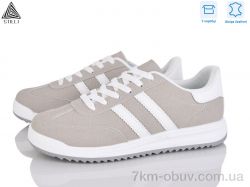 STILLI Group AX20-4R шкіра фото