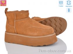 PLPS 5807-6 фото