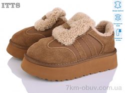 ITTS S7981-4 фото