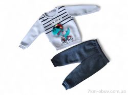 Kids-modnik 3106 сірий реглан-штани фото