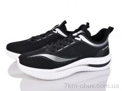 Lion-Lu A0060-1 фото