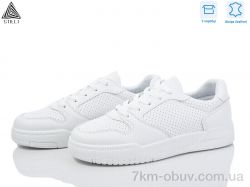 STILLI Group AD410 шкіра фото