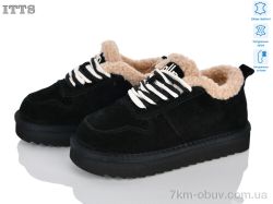 ITTS T6680-2 фото