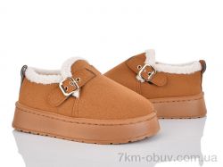 Lion-Lu CL2313 фото