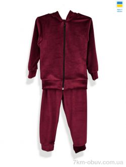 Kir15 18328 бордовий фото