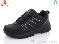 ROYYNA 077DB-43 фото