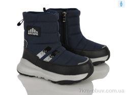 Clibee-ShoSho 2535 navy фото
