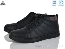 STILLI Group LP50-3 шкіра фото