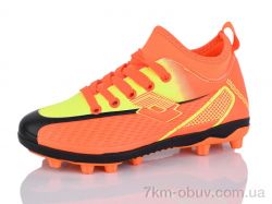 ASHIGULI C21-6 фото