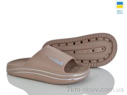 Golden Lion 513-020 фото