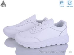 STILLI Group XG60-1 шкіра фото