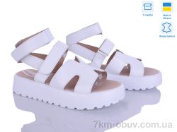 Ailinda 316A-8 фото