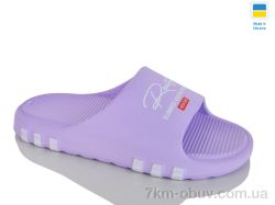 Крок DS71 бузковий фото