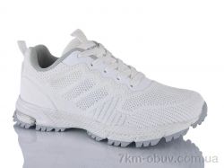 Pet B5191-1 фото