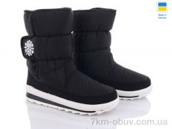 Favorit G112-8 Бп фото